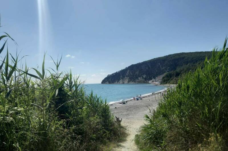 База отдыха «Триумф»