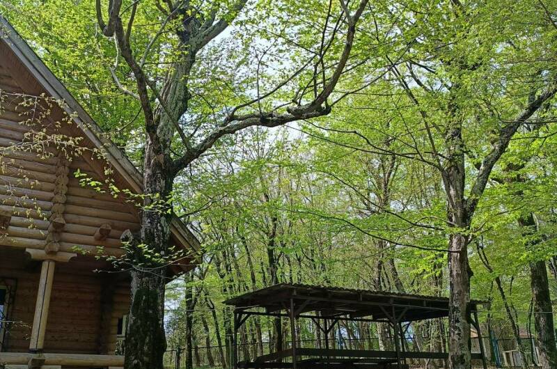 База отдыха «Триумф»