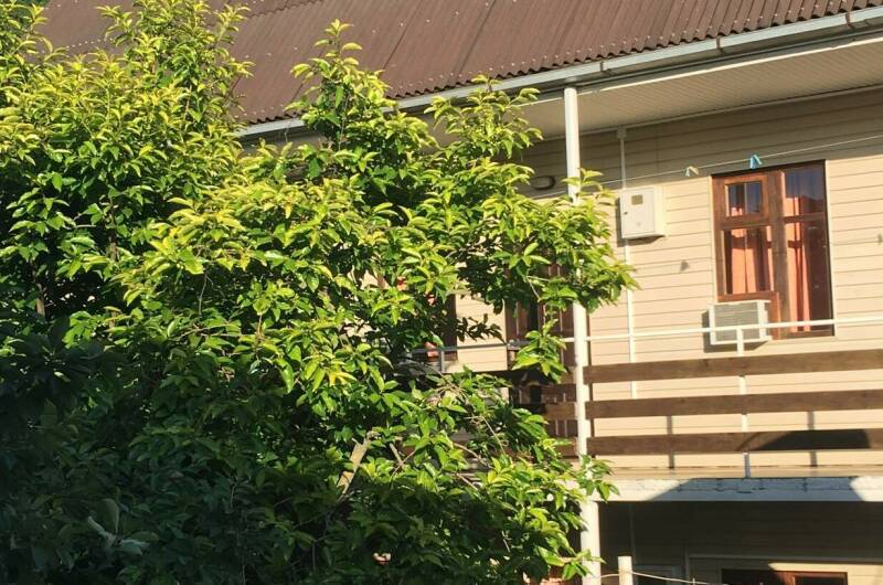 Гостевой дом «На Ростовской»