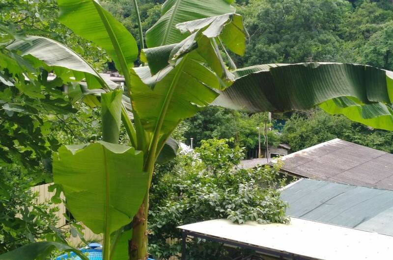 Гостевой дом «Афина»