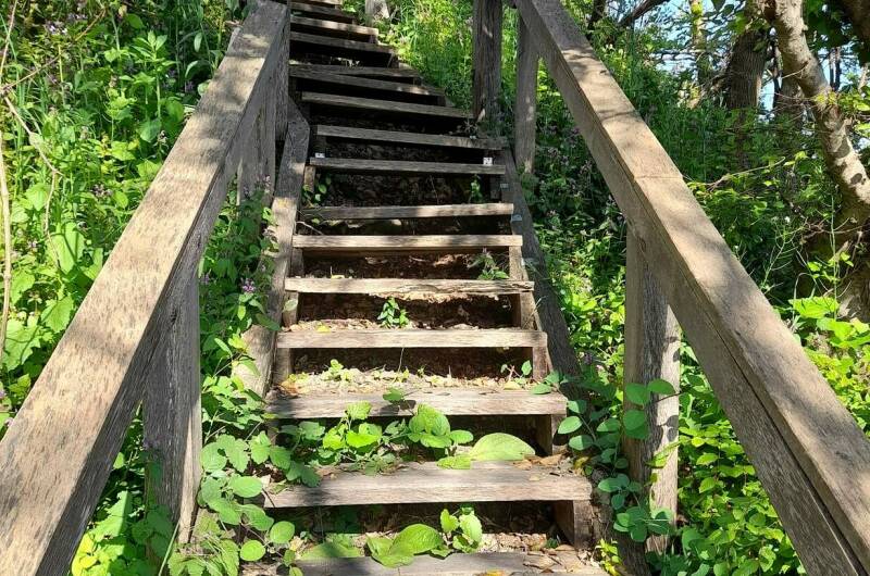 База отдыха «Камелия GOLD»