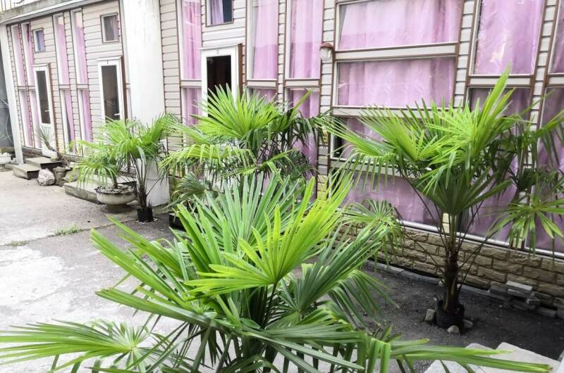 Гостевой дом «ТИС-Комфорт»