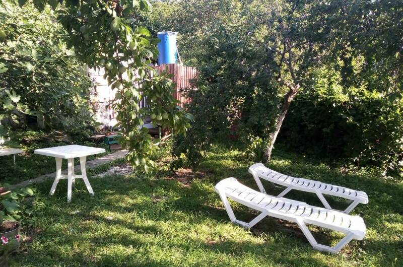 Бабушкин дом в зеленом саду