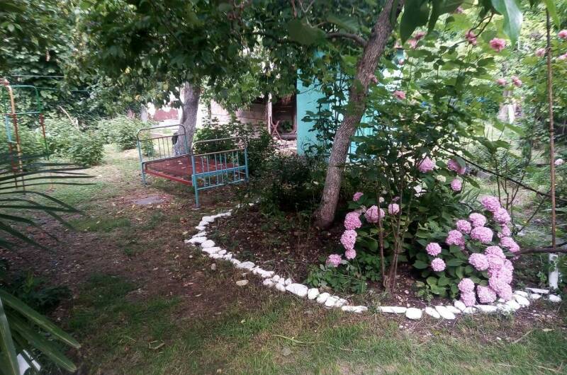 Бабушкин дом в зеленом саду