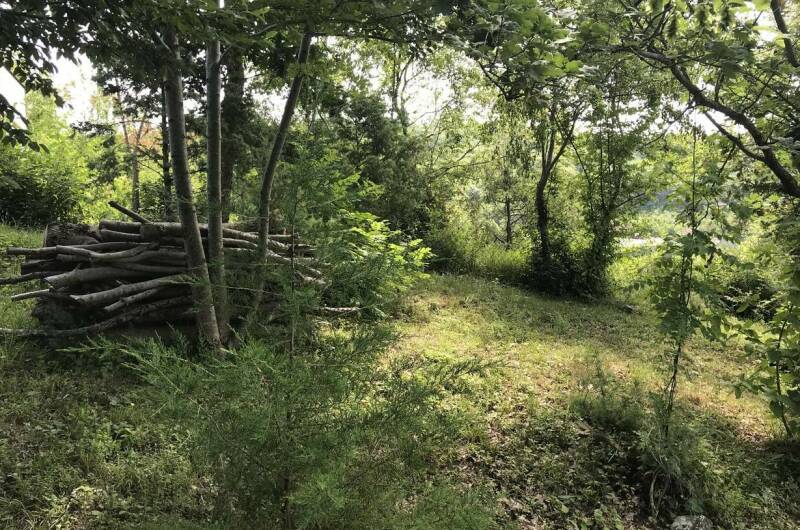 Гостевой дом «Mangal-de-Tish»