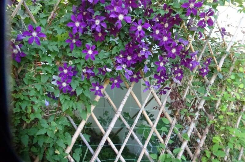 Гостевой дом «Постоялый двор»