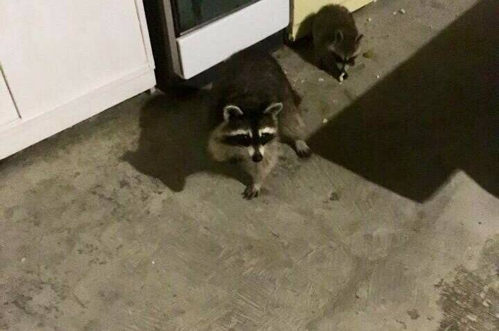 Гостевой дом «Моя Марусичка»