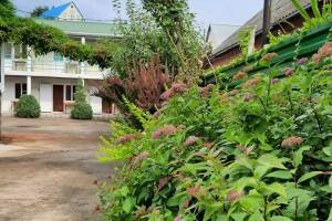 Изображение Гостевой дом «Киви» #1