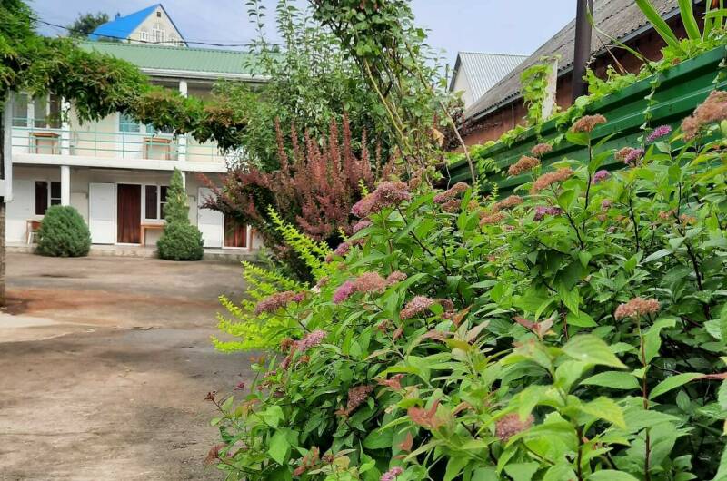 Гостевой дом «Киви»