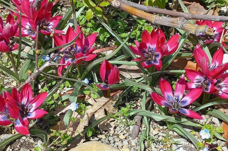 Гостевой дом «Зелёная гора»