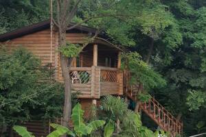 Изображение Джубги #6