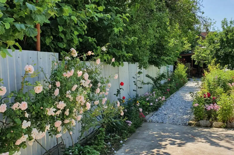 Гостевой дом «Амина»