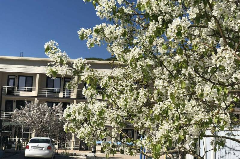 Гостевой дом «Атмосфера»