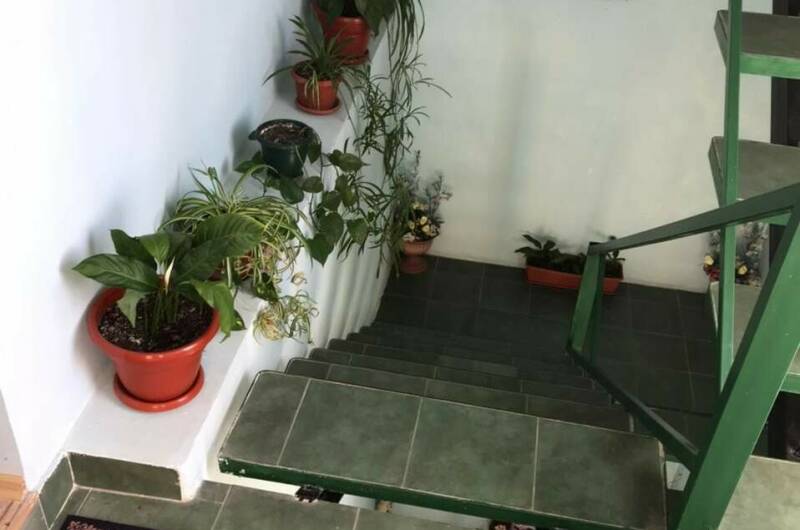 Гостевой дом «Terra»