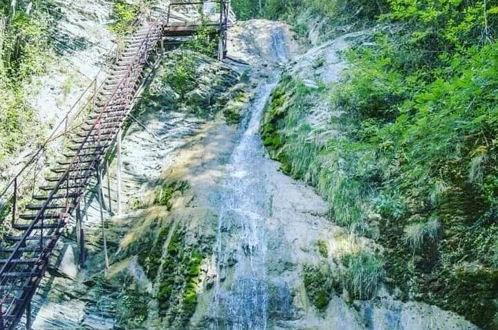 Гостевой дом «Елена»