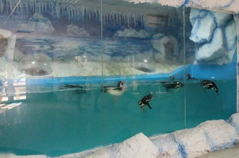 Гостевой дом «Панорама»