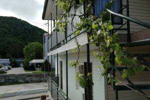 Изображение Гостевой дом «Южный Двор» #3