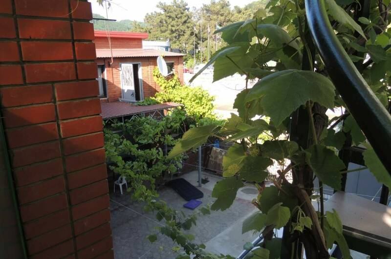 Гостевой дом «Южный Двор»