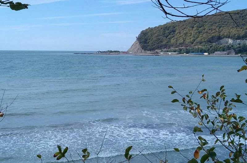 Апартаменты с видом на море