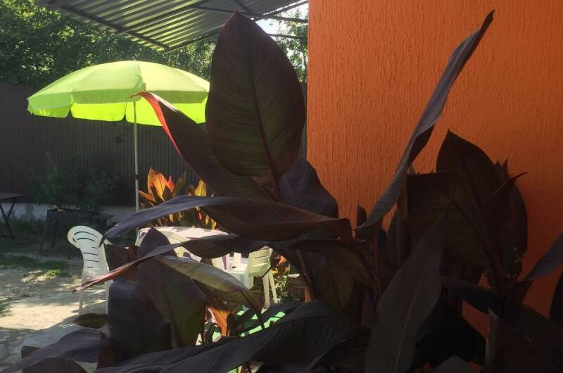 Гостевой дом «Sun Street»