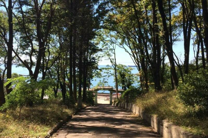 Гостевой дом «Галина-Чайка»