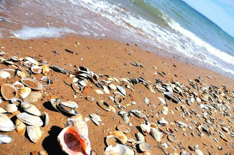 Гостиница «Эллада»