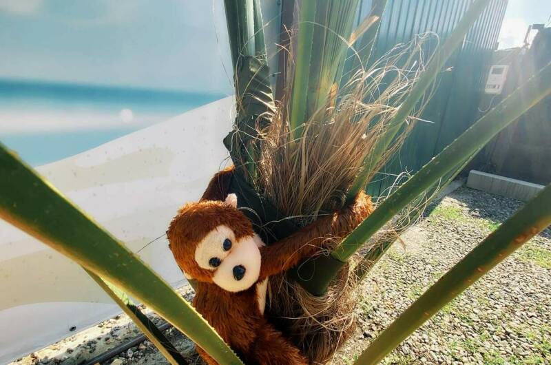 Гостевой дом «Колибри»