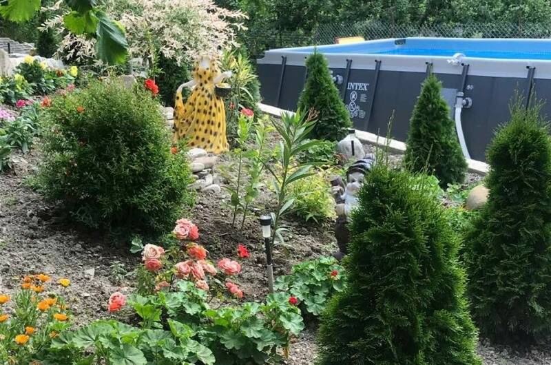 Гостевой дом «Оазис»