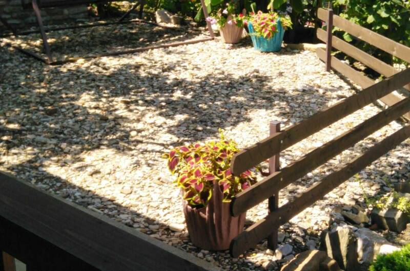 Гостевой дом «Оазис»