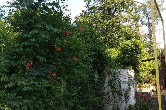 Гостевой дом «Элефант»