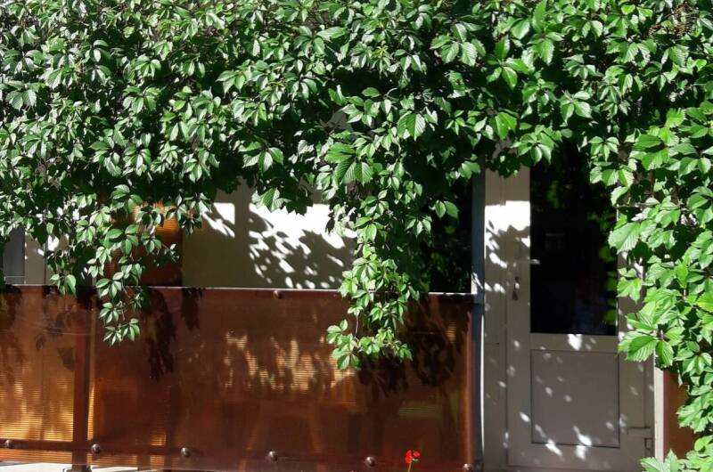 Гостевой дом «У Александры»