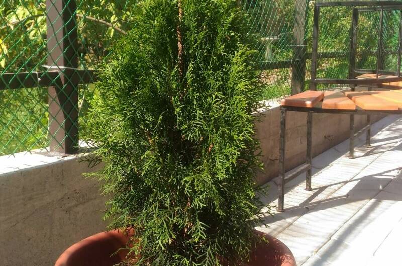 Гостевой дом «На берегу моря»