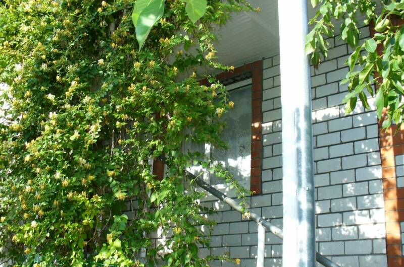 Частный дом «Солнечная 39»