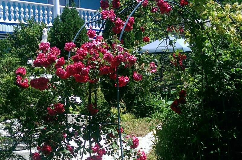 Усадьба для семейного отдыха «Елизавета»