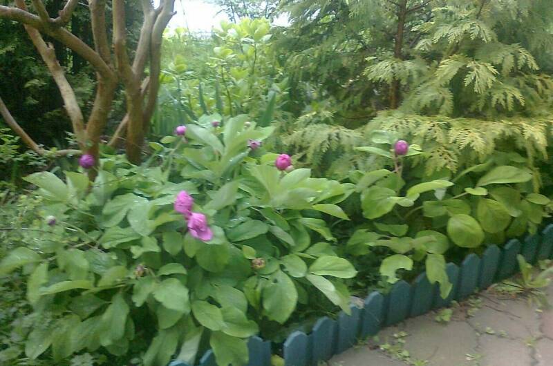 Усадьба для семейного отдыха «Елизавета»