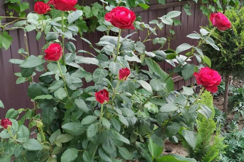 Гостевой дом «Валерия»