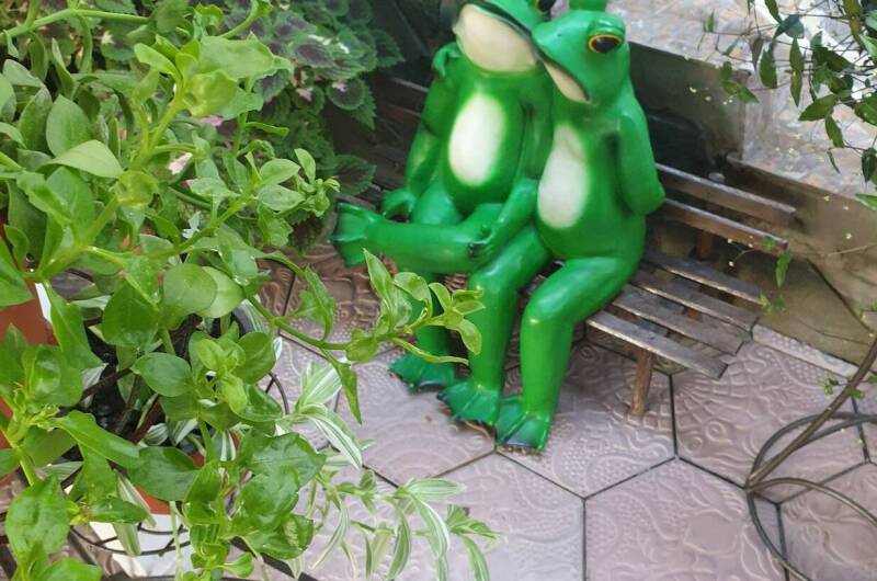 Гостевой дом «Магнат»