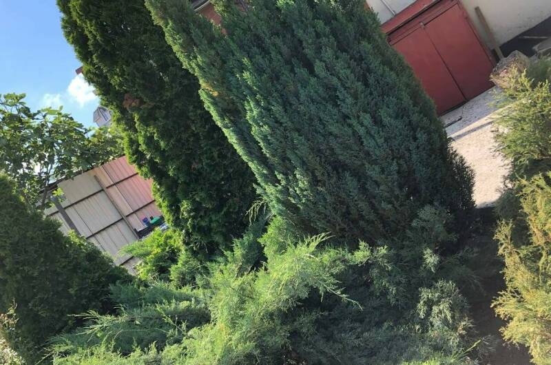 Гостевой дом «Прохлада»