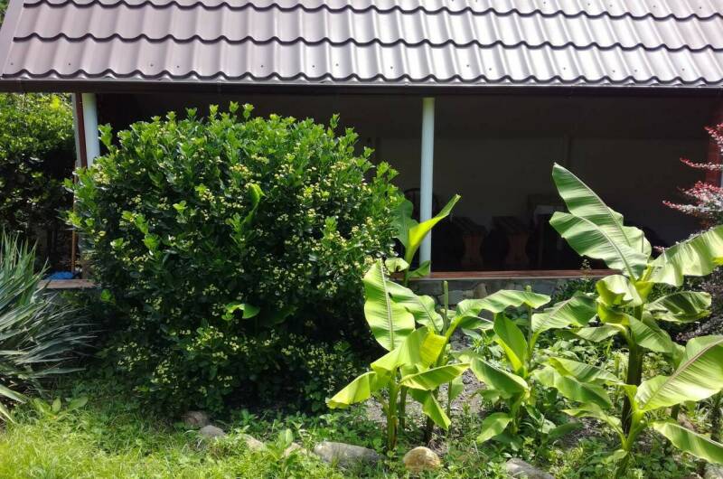 Частный сектор