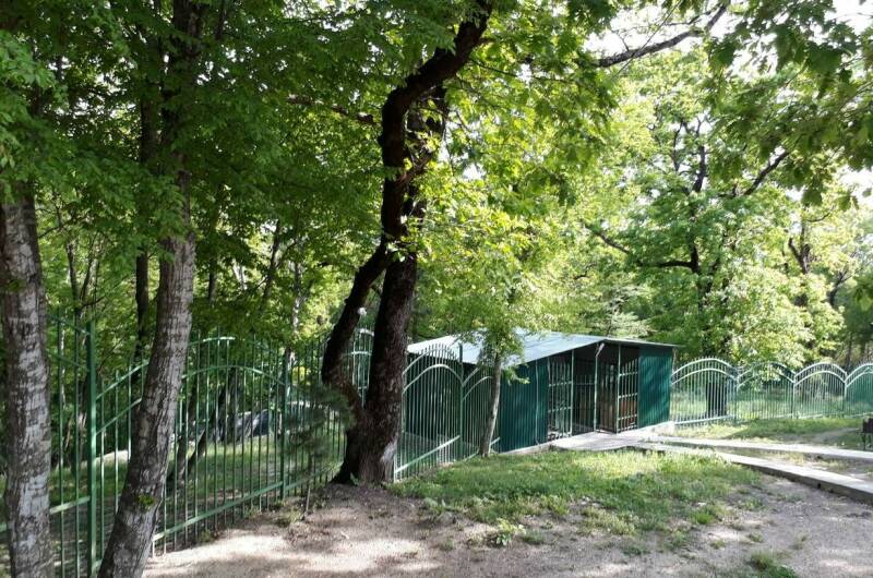 Бревенчатый дом в лесу у моря