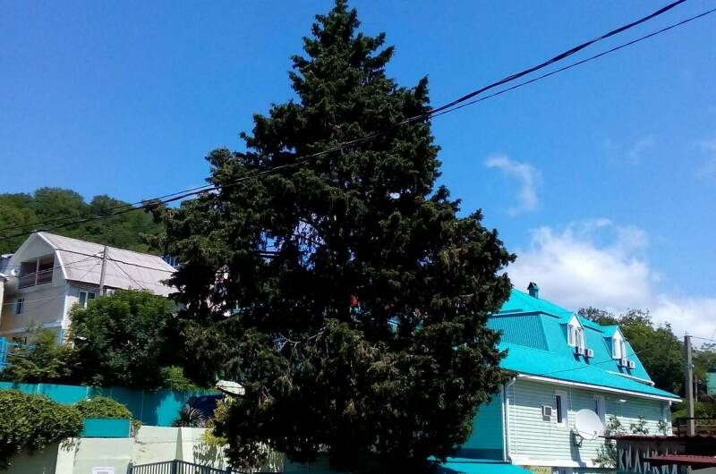 Гостевой дом «Татьяна»