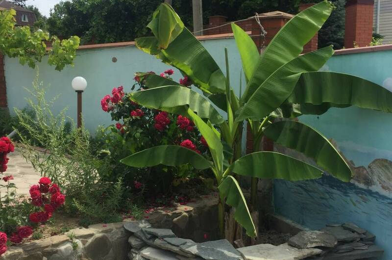 Частный дом «Лиза»