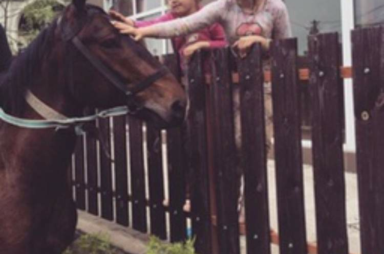 Гостевой дом «АLinа»