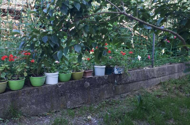 Гостевой дом «Татьяна»