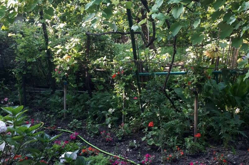 Гостевой дом «Татьяна»