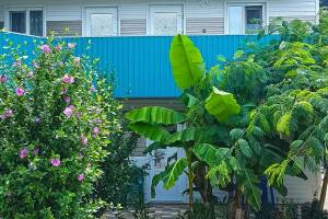 Изображение Гостевой дом «Пиламида» #1