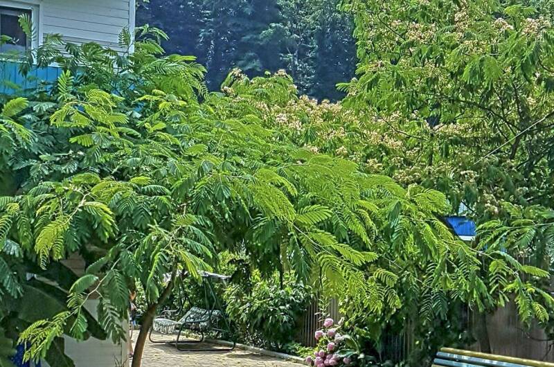 Гостевой дом «Пиламида»