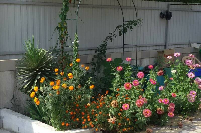 Гостевой дом «Пиламида»