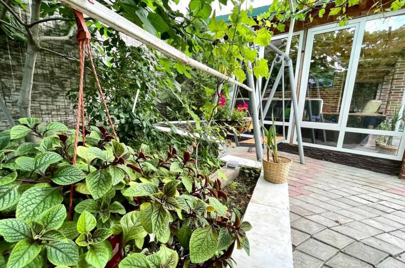 Гостевой дом «Мечта-4»