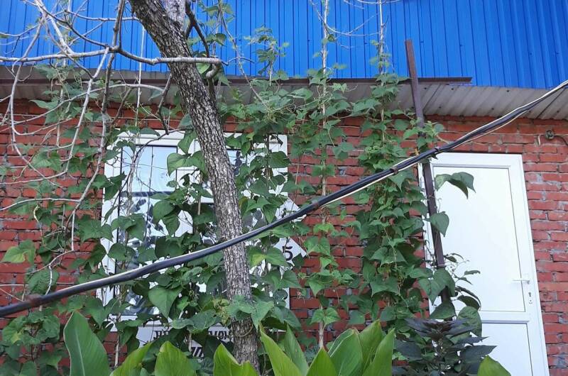 Гостевой дом «Дом Солнца»